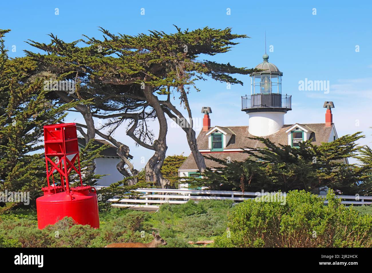 Punto Pinos, el más antiguo faro de funcionamiento continuo en la costa oeste, en la bahía de Monterey en Pacific Grove, California Foto de stock