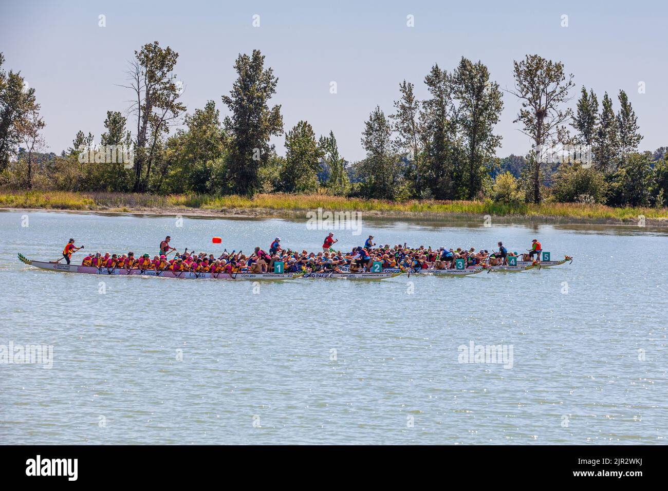 Inicio de una carrera de barcos dragón en el Festival Steveston 2022 en British Columbia, Canadá Foto de stock