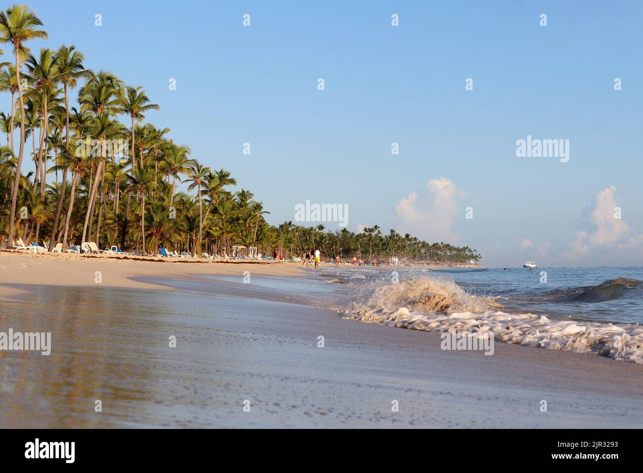 Vista a la playa tropical con gente bronceándose y nadando, costa arenosa del océano y palmeras de coco Foto de stock