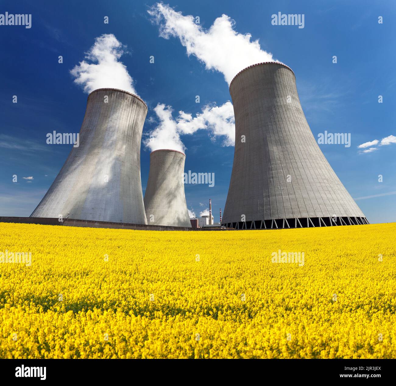 Central nuclear Dukovany, torre de refrigeración con campo de floración dorado de colza, canola o colza - República Checa - dos posibilidades de producción Foto de stock