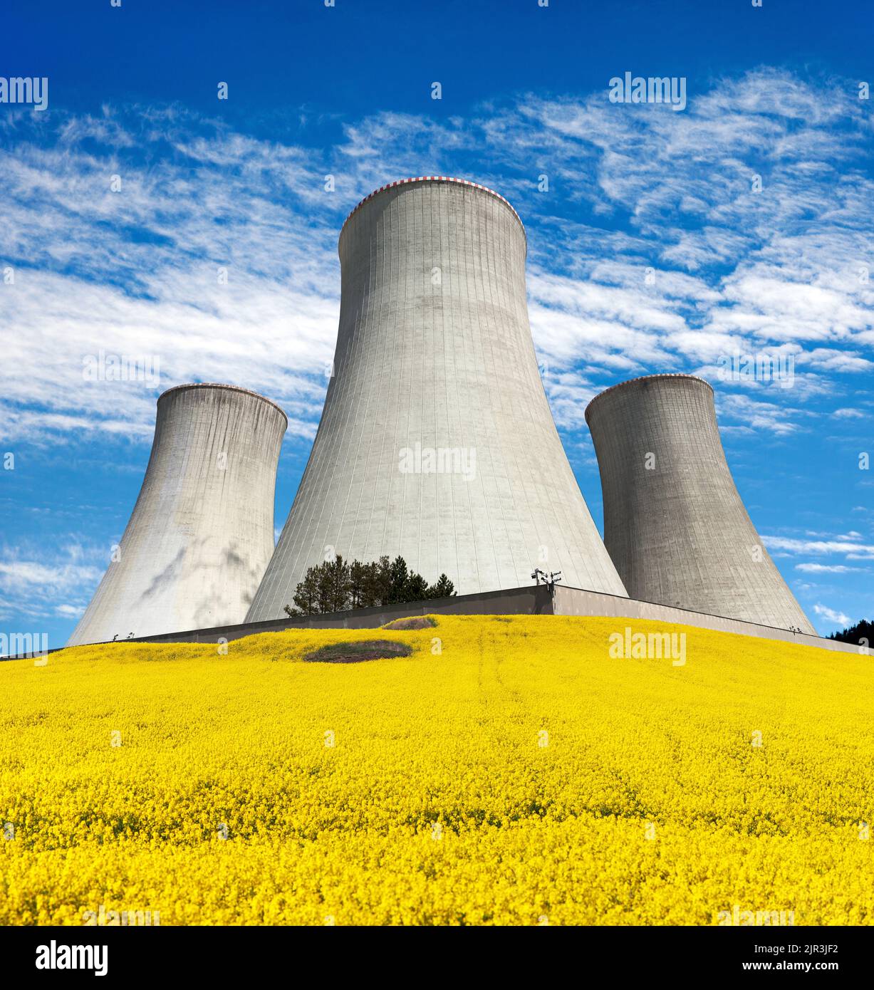 Central nuclear Dukovany, torre de refrigeración con campo de floración dorado de colza, canola o colza - República Checa - dos posibilidades de producción Foto de stock