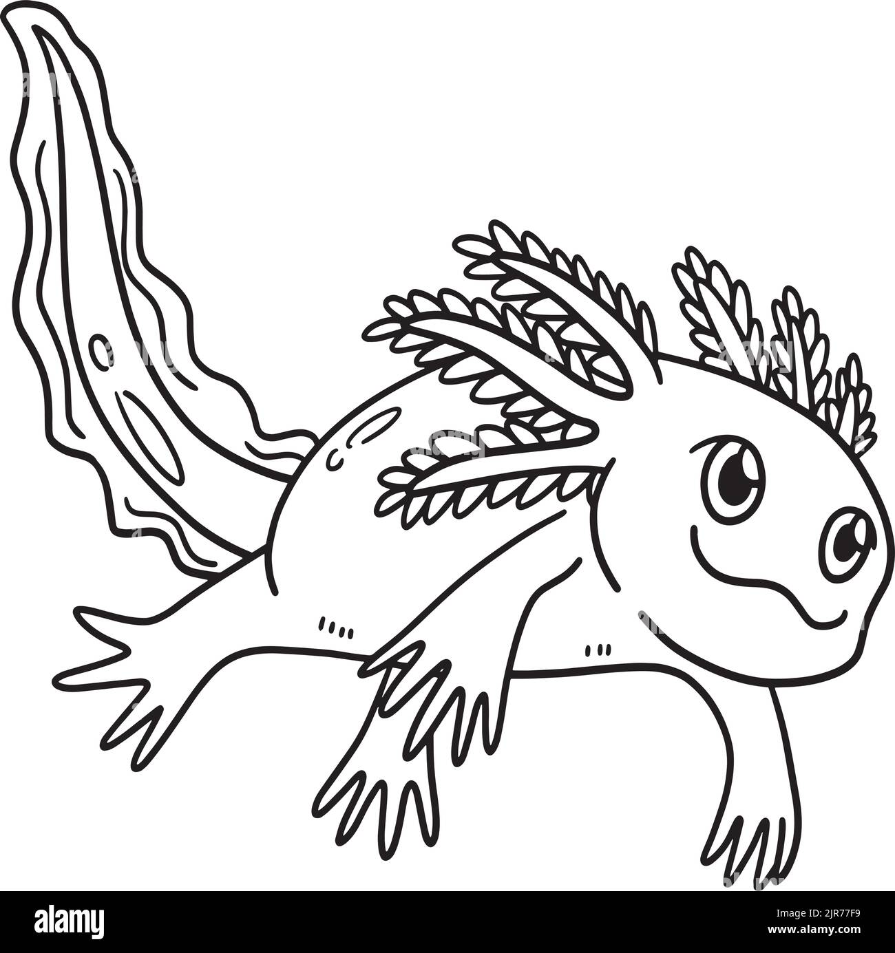 Axolotl illustration fotografías e imágenes de alta resolución - Alamy Axolotl illustration fotografías e imágenes de alta resolución - Alamy