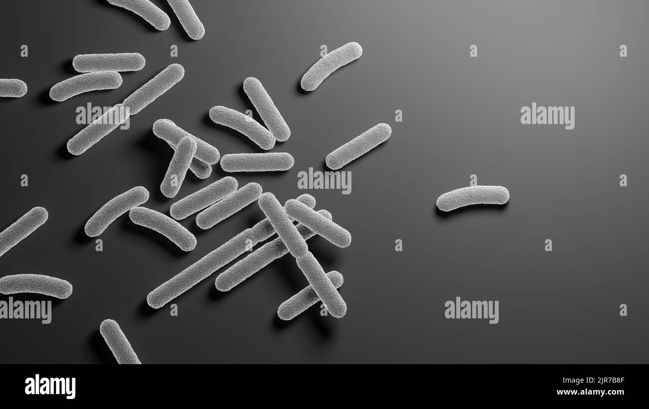 Bacterias. Bacteria. Blanco y negro. Microorganismos procarióticos. ilustración 3d. Foto de stock