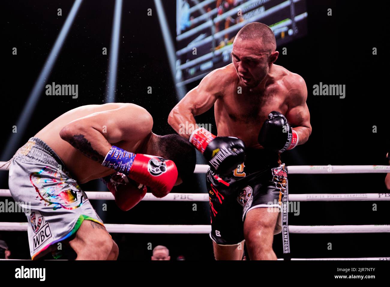 Boxeador profesional IBF Sergey Lipinets peso ligero derrota a WBC Lightweight Omar Figueroa Jr. En un partido de boxeo de 12 rondas Foto de stock