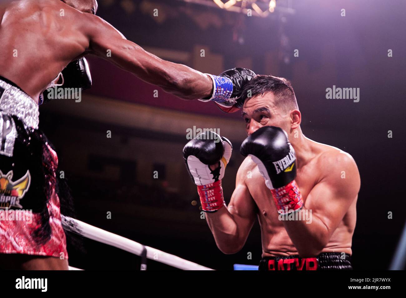 Boxeador profesional WBA interim super-ligero Alberto Puello derrota a WBA Super-Lightweight Batyr Akhmedov en Boxeo profesional Foto de stock