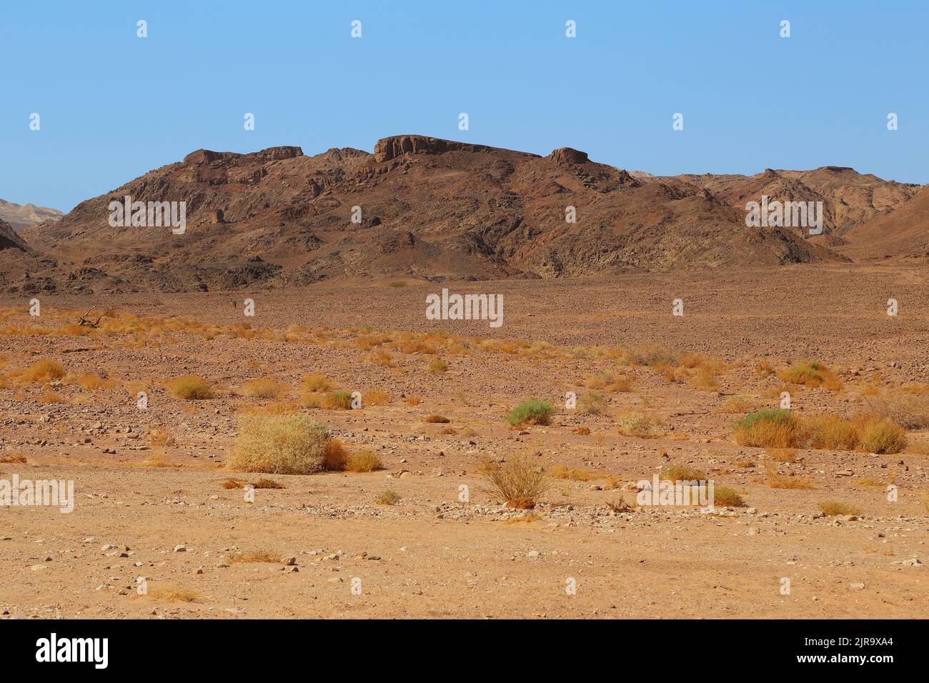 Es un fragmento de roca erosivo contra el paisaje pedregoso del colorido desierto de Arava en Israrel. Foto de stock