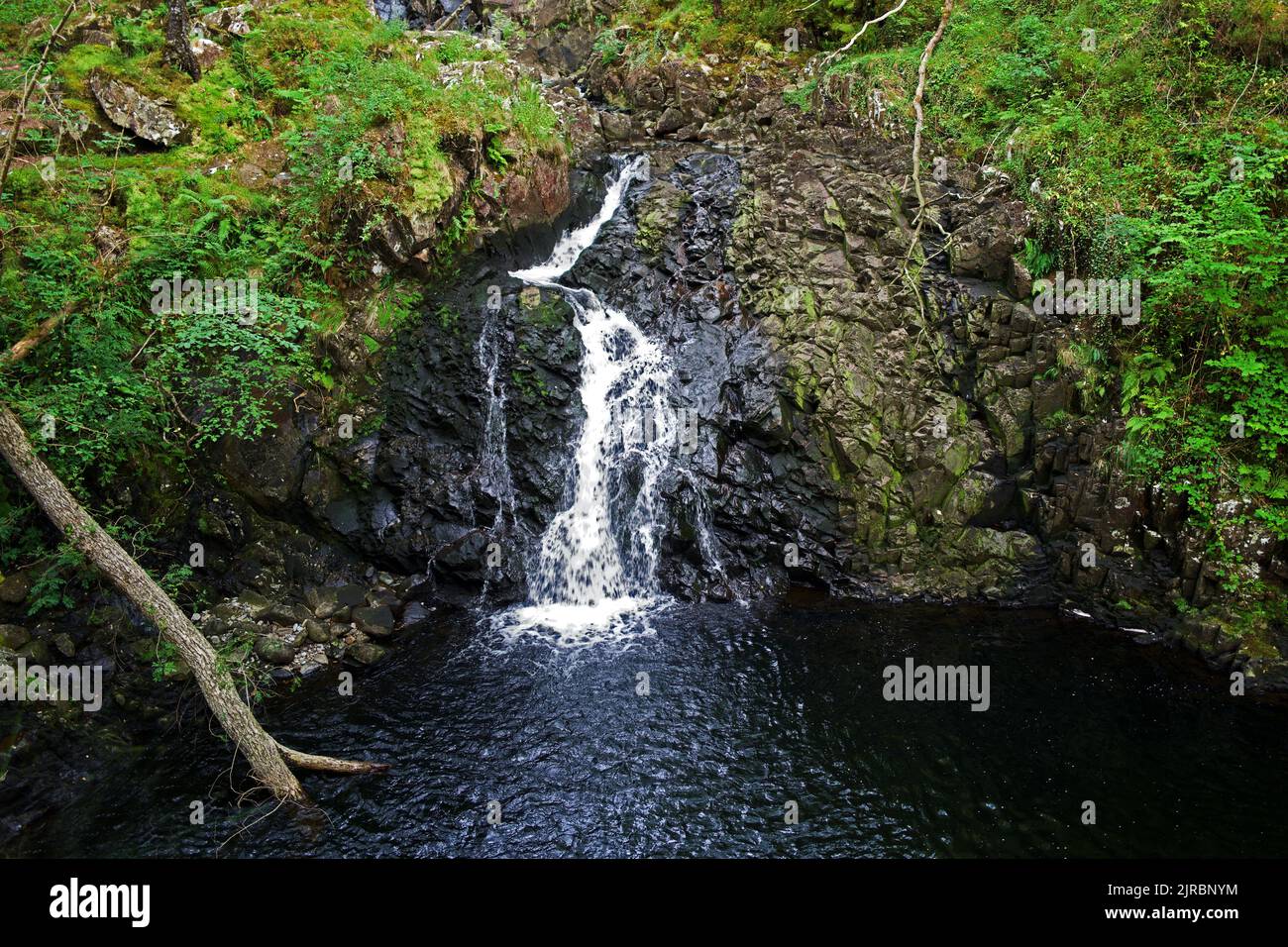 Rhaeadr DDU (Cascada Negra) se encuentra en la Reserva Natural Nacional de Coed Ganllwyd (antiguo bosque), cerca del pueblo de Ganllwyd, en el norte de Gales. Foto de stock