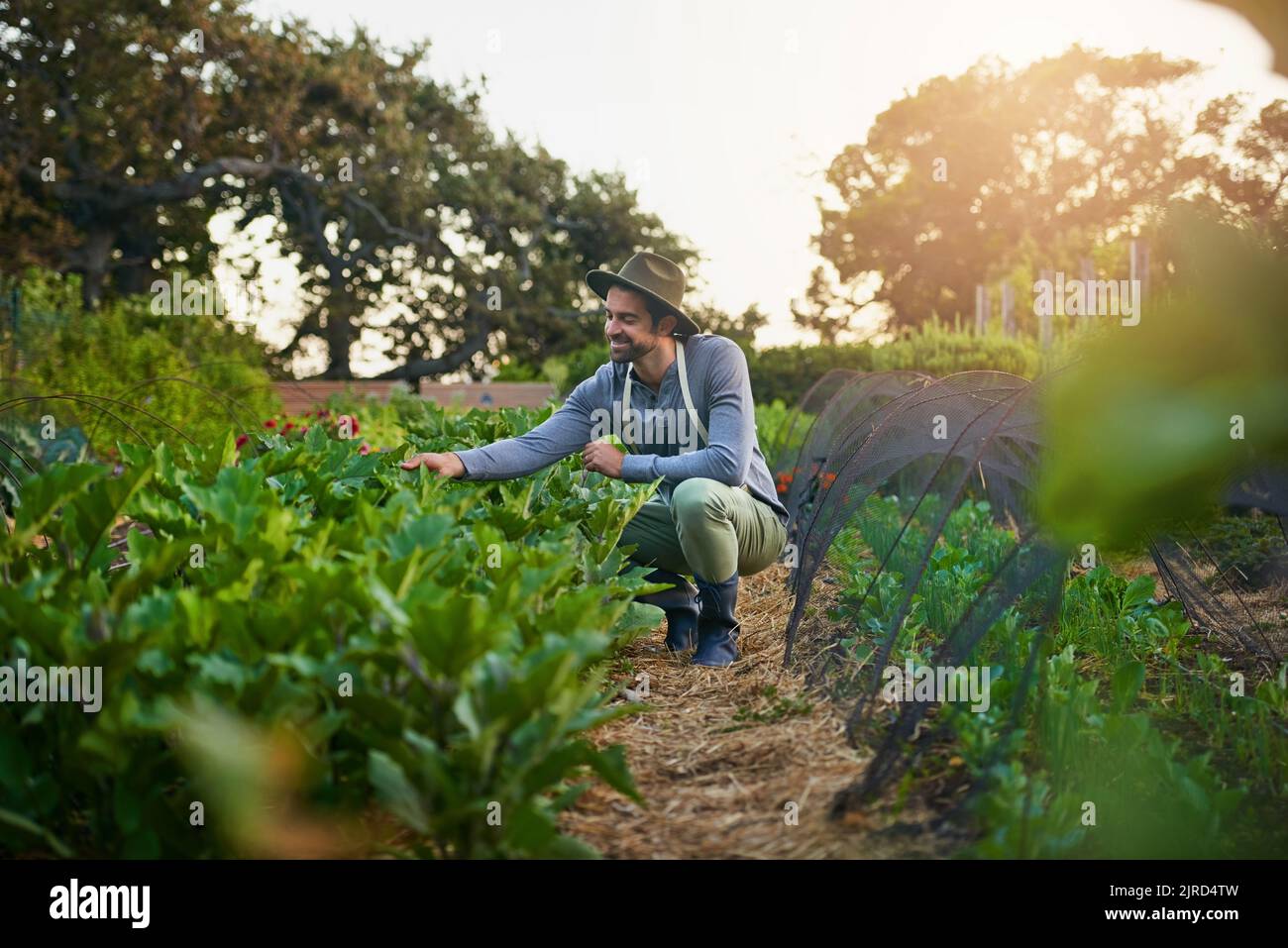 Prospera mis bellezas. Un hombre joven que cuida de los cultivos en una granja. Foto de stock