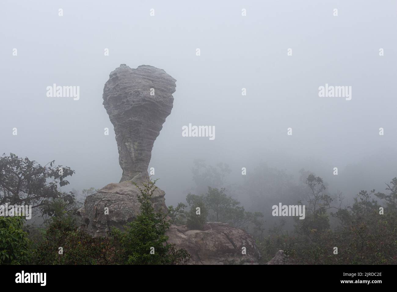 La extraña piedra ( parece una copa de trofeo ) con niebla por la mañana en el parque nacional Pa Hin Ngam . Chaiyaphum , Tailandia . Foto de stock