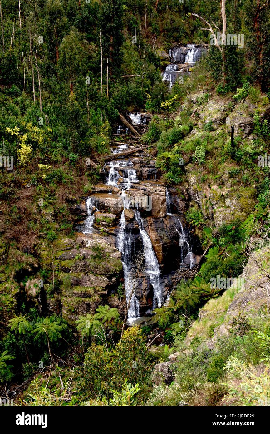 Esta vista de Masons Falls en el Parque Nacional Kinglake, en Victoria, fue escondida por los árboles hasta que los fuegos del Sábado Negro en 2009, abrió la vista. Foto de stock