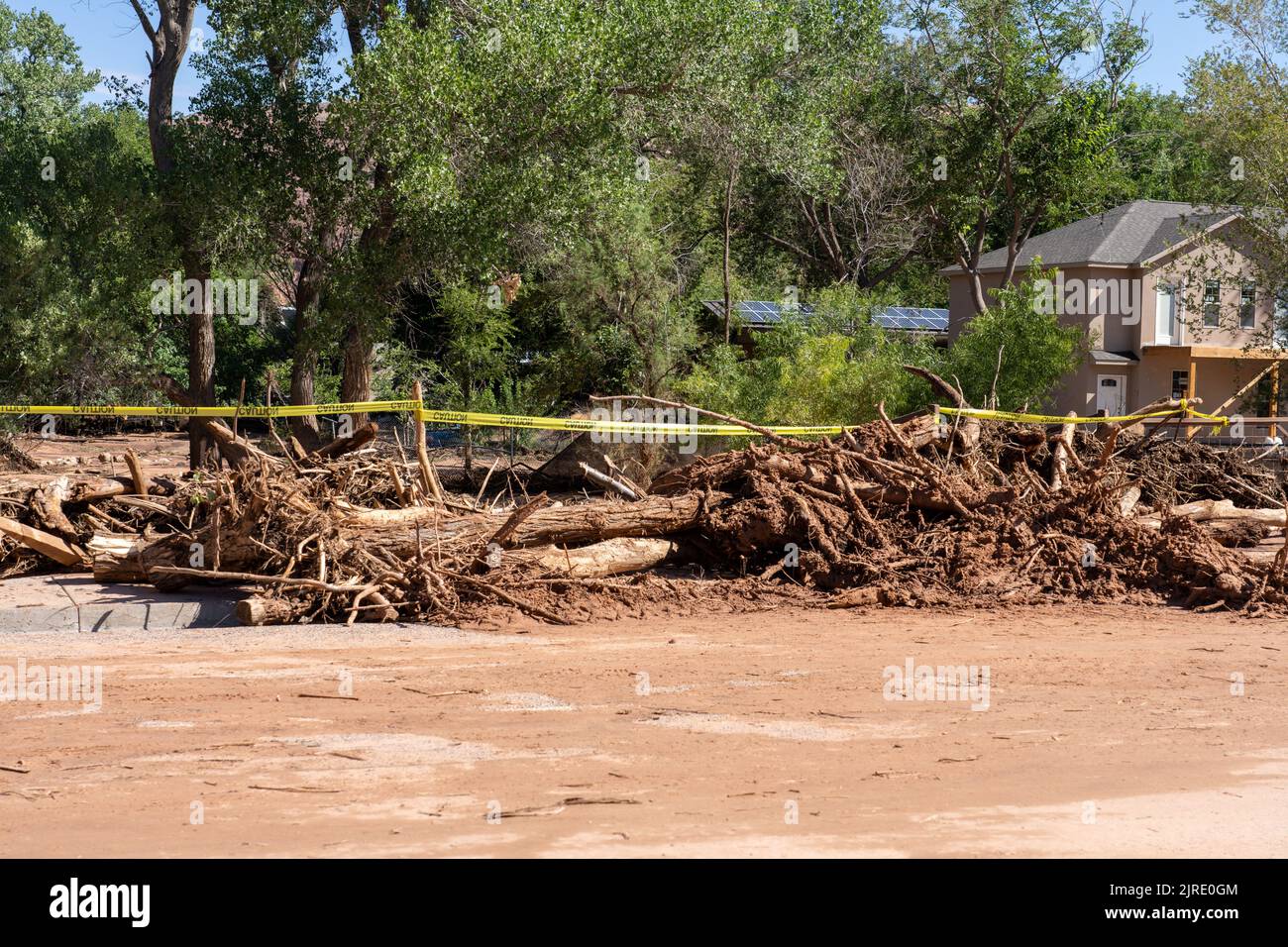 Escombros, incluyendo troncos de árboles, despejados de una calle después de la inundación repentina de Mill Creek la noche anterior en Moab, Utah. Foto de stock