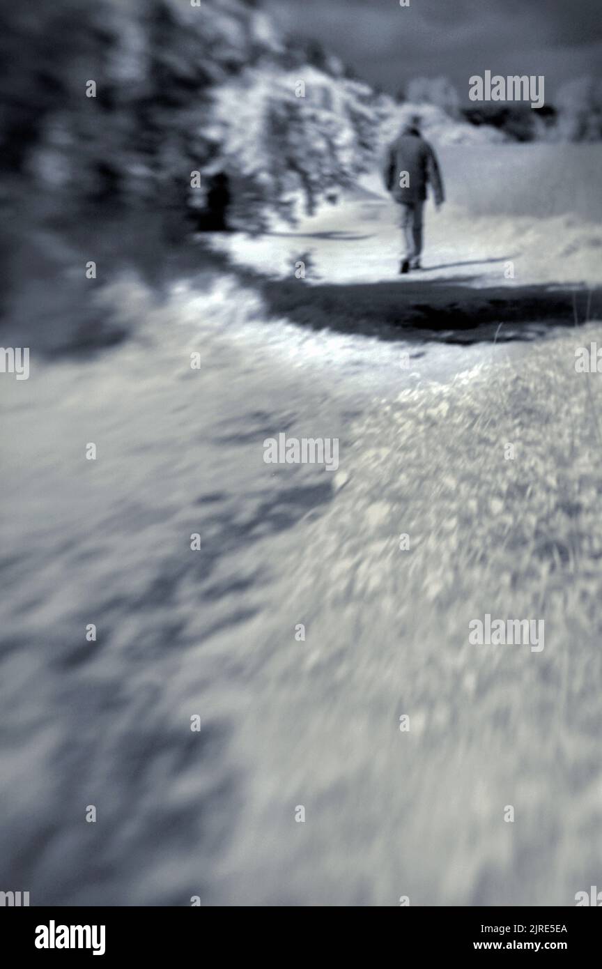 imagen de ensueño del solitario caminando por el camino del campo Foto de stock