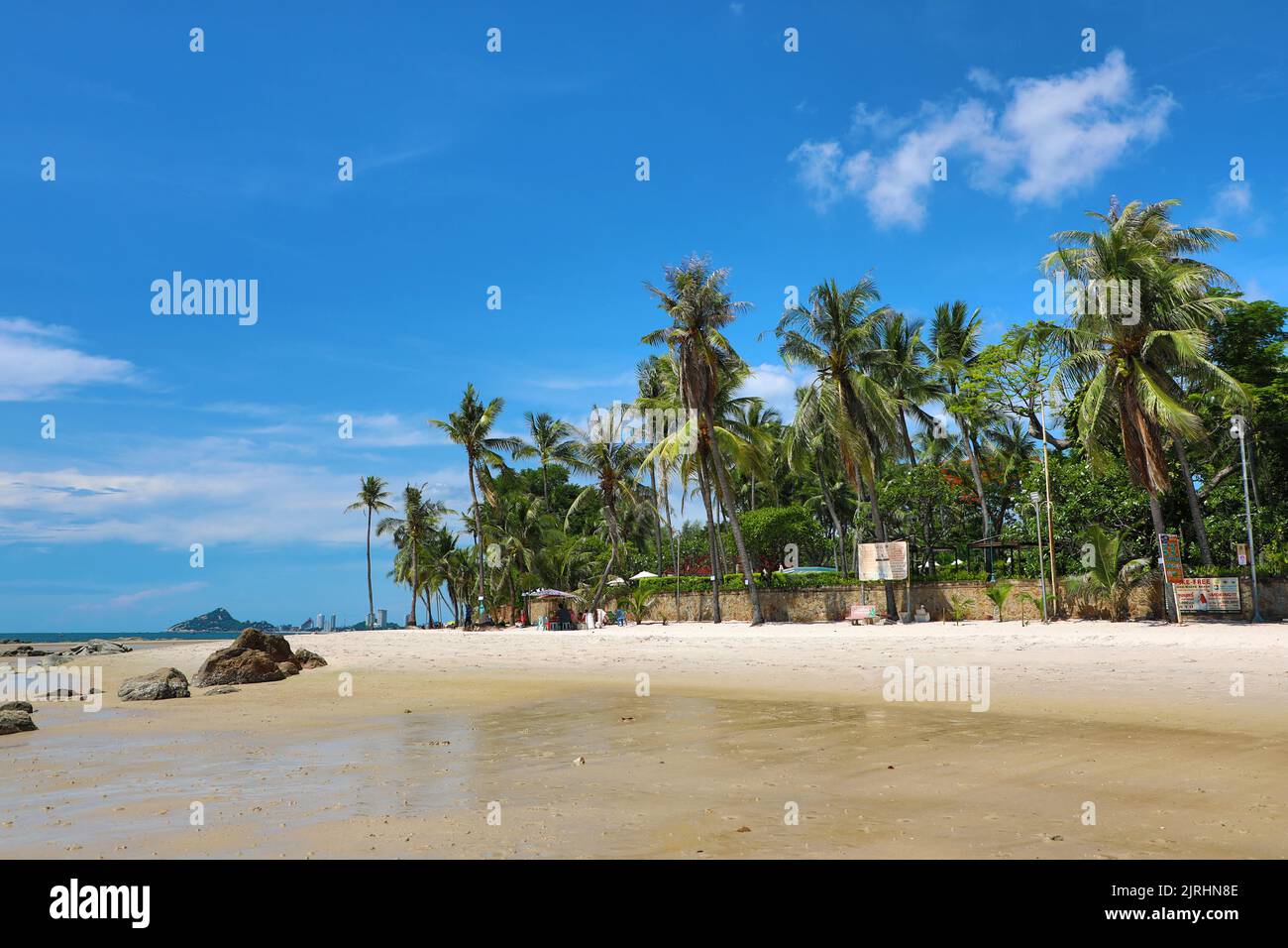 Playa de palmeras tropicales en Hua Hin, Tailandia Foto de stock