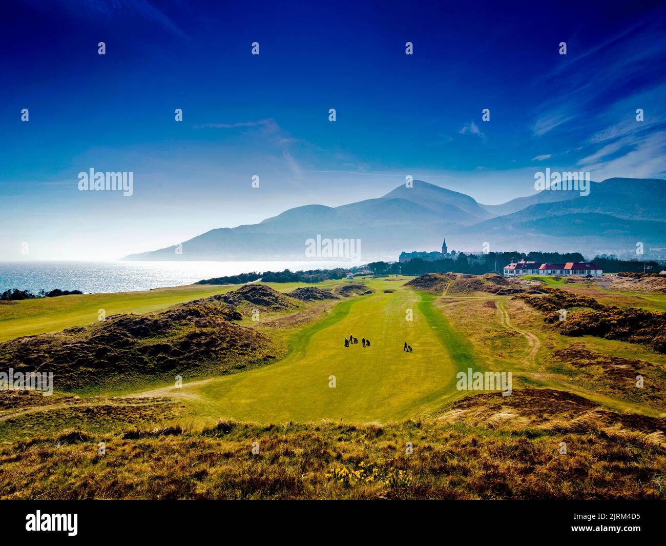 El campo de golf Royal County Down, Newcastle, Irlanda del Norte Foto de stock