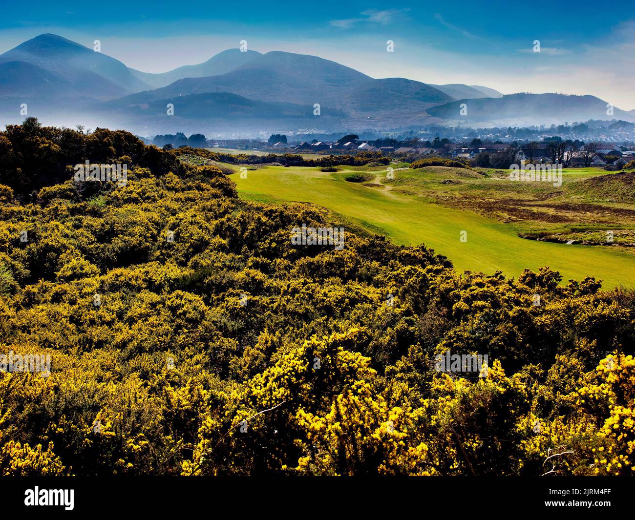 El campo de golf Royal County Down, Newcastle, Irlanda del Norte Foto de stock