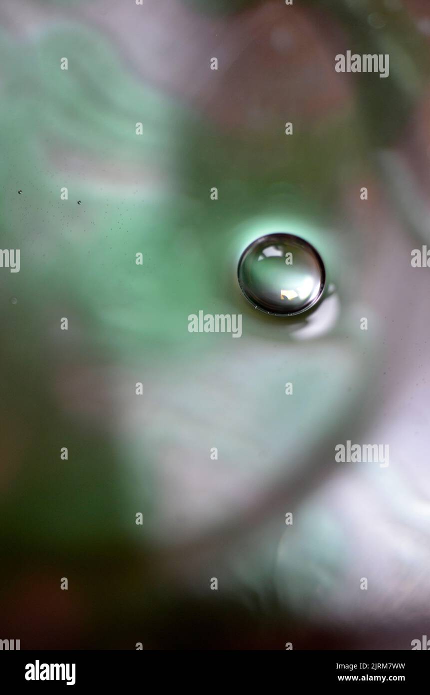 burbuja solitaria abstracta en la superficie del estanque Foto de stock