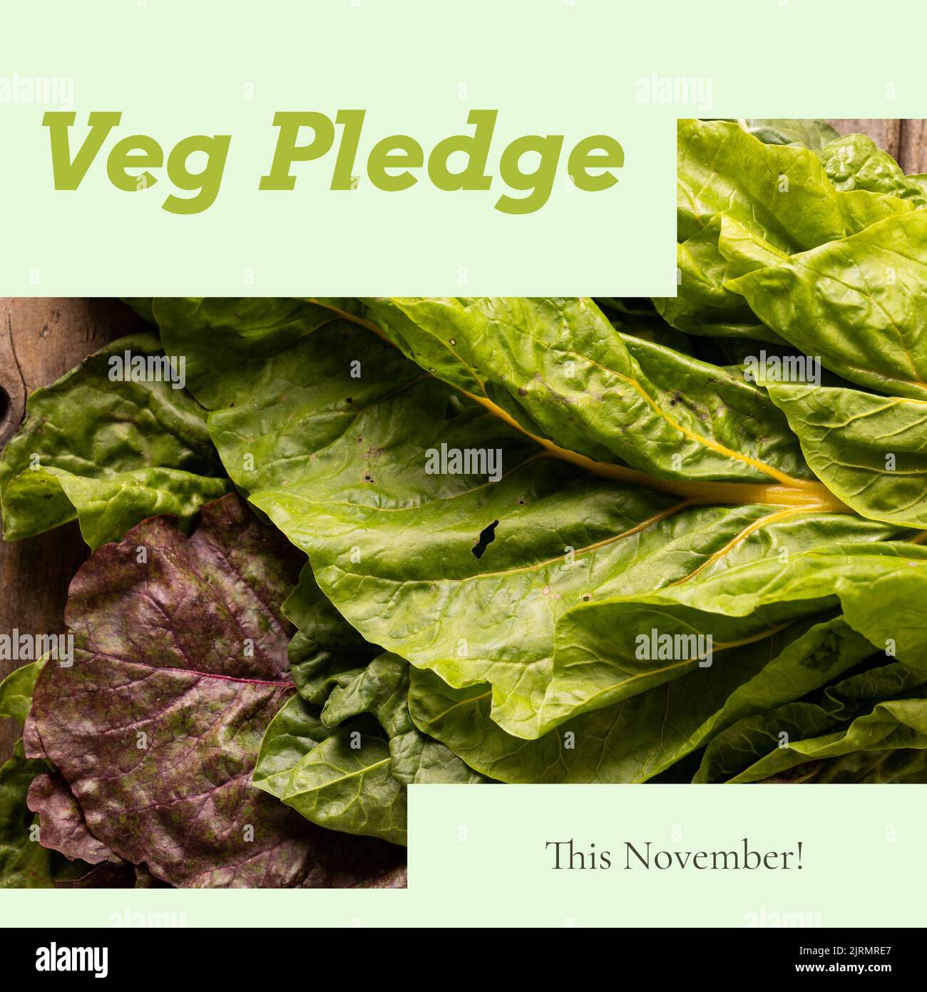 Imagen digital compuesta de verduras de hoja verde frescas con texto de promesa de verduras Foto de stock