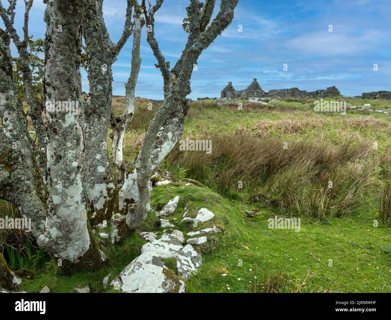 Hilera de casas en ruinas abandonadas de asentamiento Riasg Buidhe, Isla de Colonsay, Escocia, Reino Unido. Foto de stock