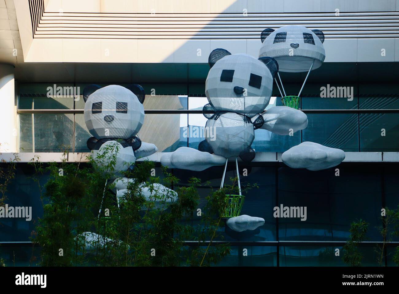 Las bonitas esculturas de panda y el modelo de simulación en la cima del bosque de bambú dentro del aeropuerto de Chengdu Foto de stock