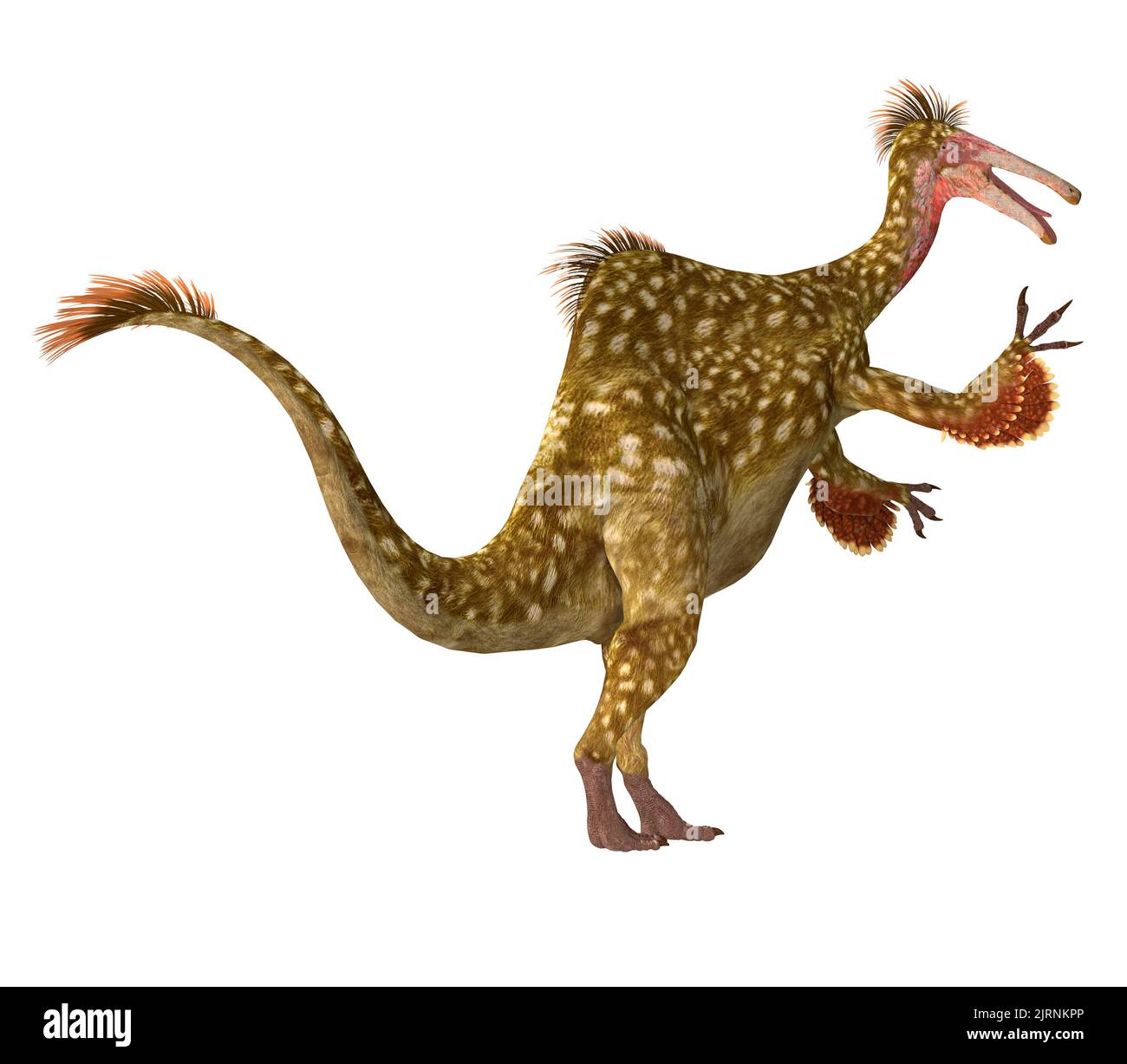 Deinocheirus fue un dinosaurio terópodo depredador que vivió durante el período Cretácico de Mongolia. Foto de stock