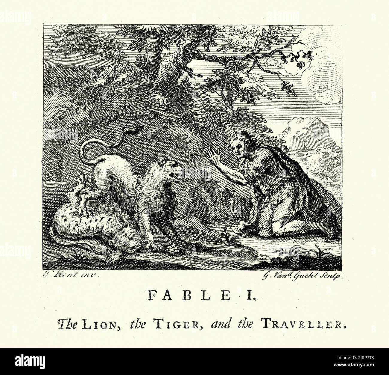 Vintage grabado El León, el tigre y el viajero, de las fábulas de John Gay siglo 18th Foto de stock