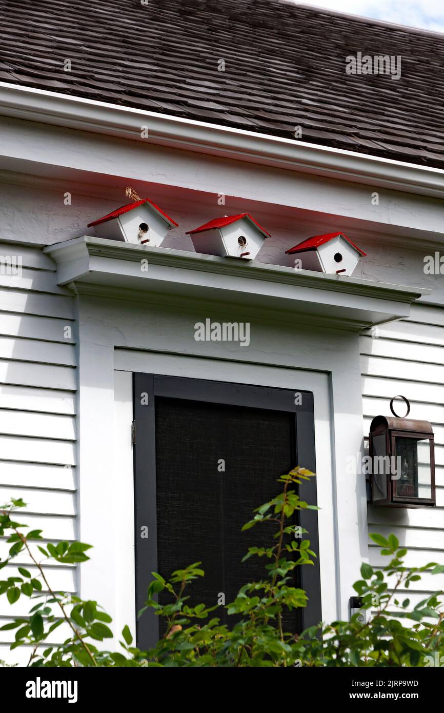 Casas de aves encaramadas sobre la entrada de una casa. Foto de stock