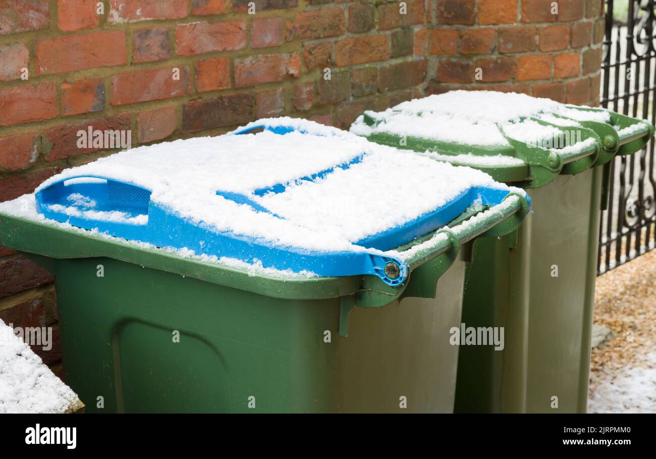 Contenedores de ruedas verdes y azules en un jardín en invierno, Reino Unido. Tapas de los contenedores cubiertas de nieve. Foto de stock
