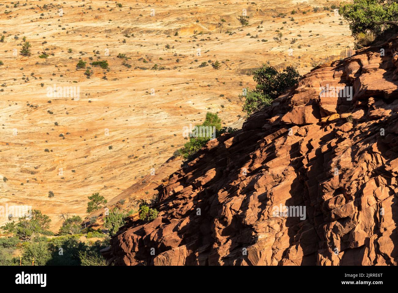 Rocas en el Parque Nacional de Zion Foto de stock
