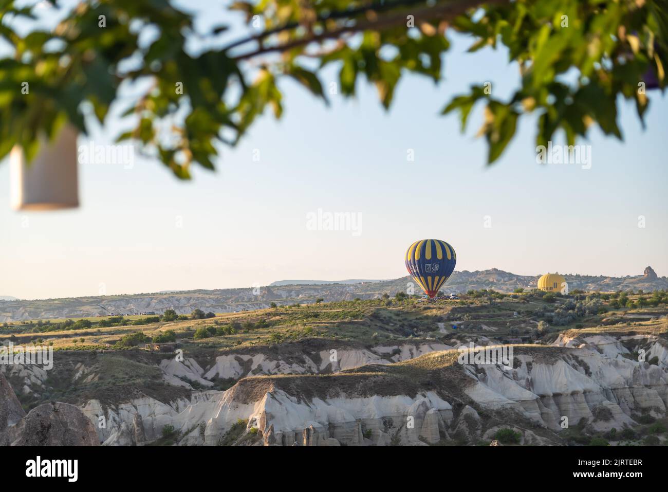 Globos aerostáticos flotantes al amanecer en Goreme, Turquía. Foto a través del árbol, vista al valle. Foto de stock