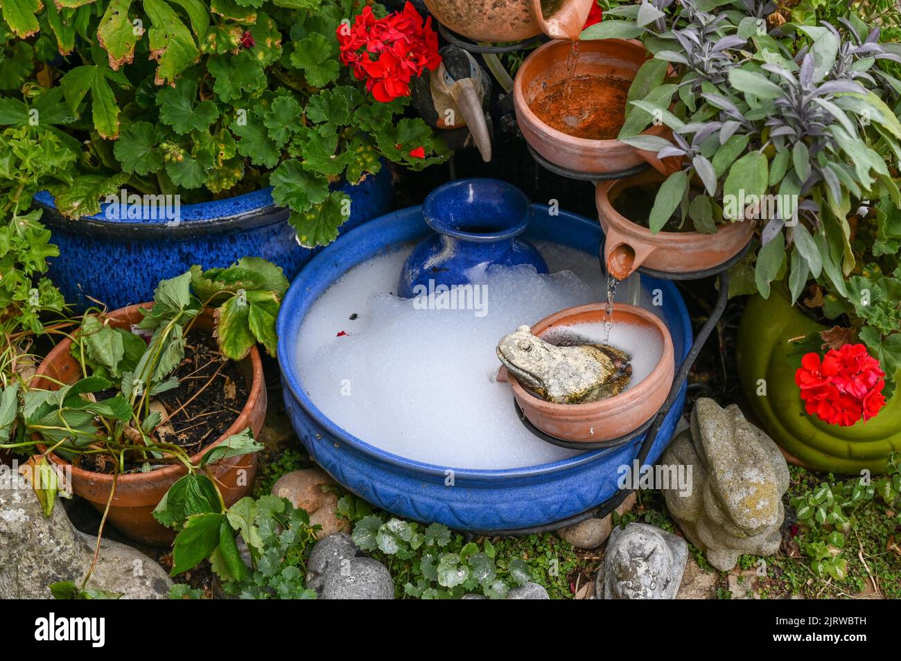 El agua de jardín funciona con un panel solar que se limpia con detergente haciendo burbujas en el agua Foto de stock