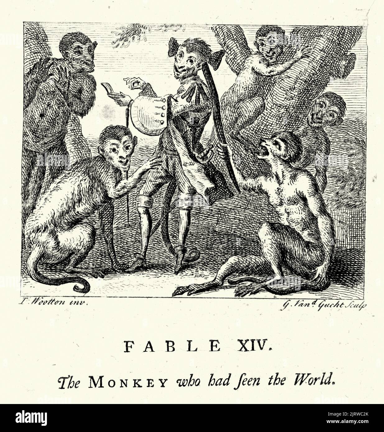Vintage grabado El Mono que había visto el mundo, de las fábulas de John Gay siglo 18th Foto de stock