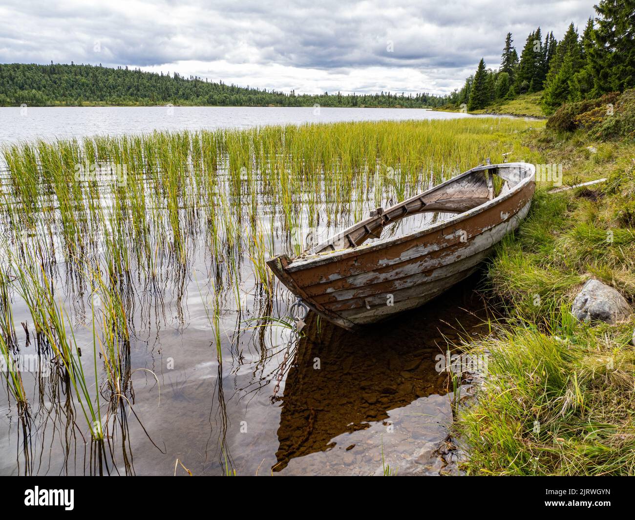 Barco de remo de madera salpicado junto a un lago de montaña en el centro de Noruega Foto de stock