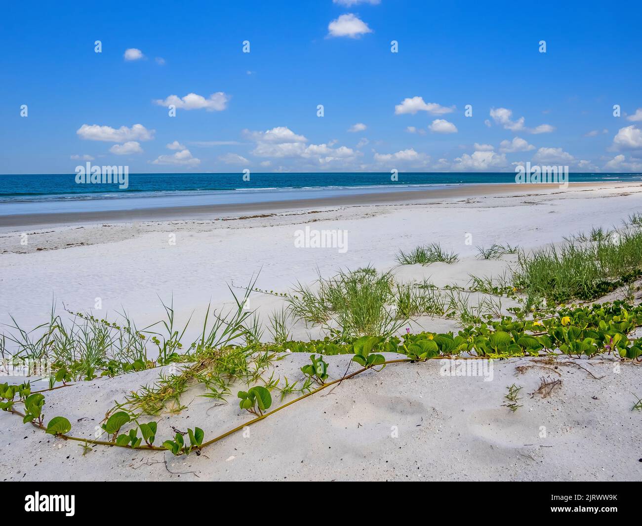 Playa vacía del Océano Atlántico en el noreste de Florida EE.UU. Foto de stock