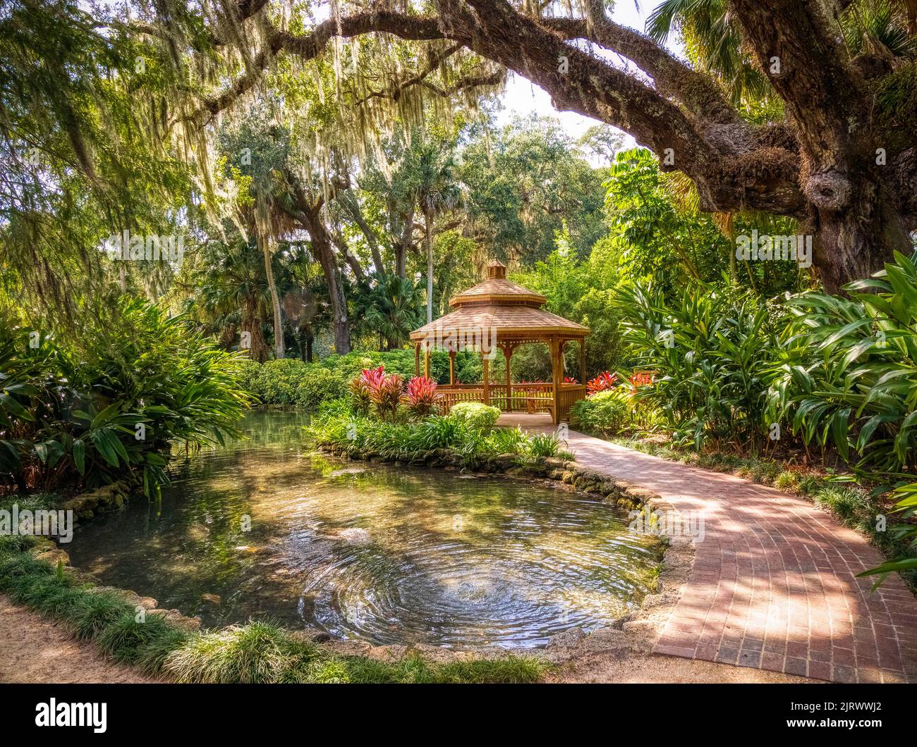 Estanque en el Distrito Histórico Washington Oaks del Parque Estatal Washington Oaks Gardens en Palm Coast, Florida, EE.UU Foto de stock