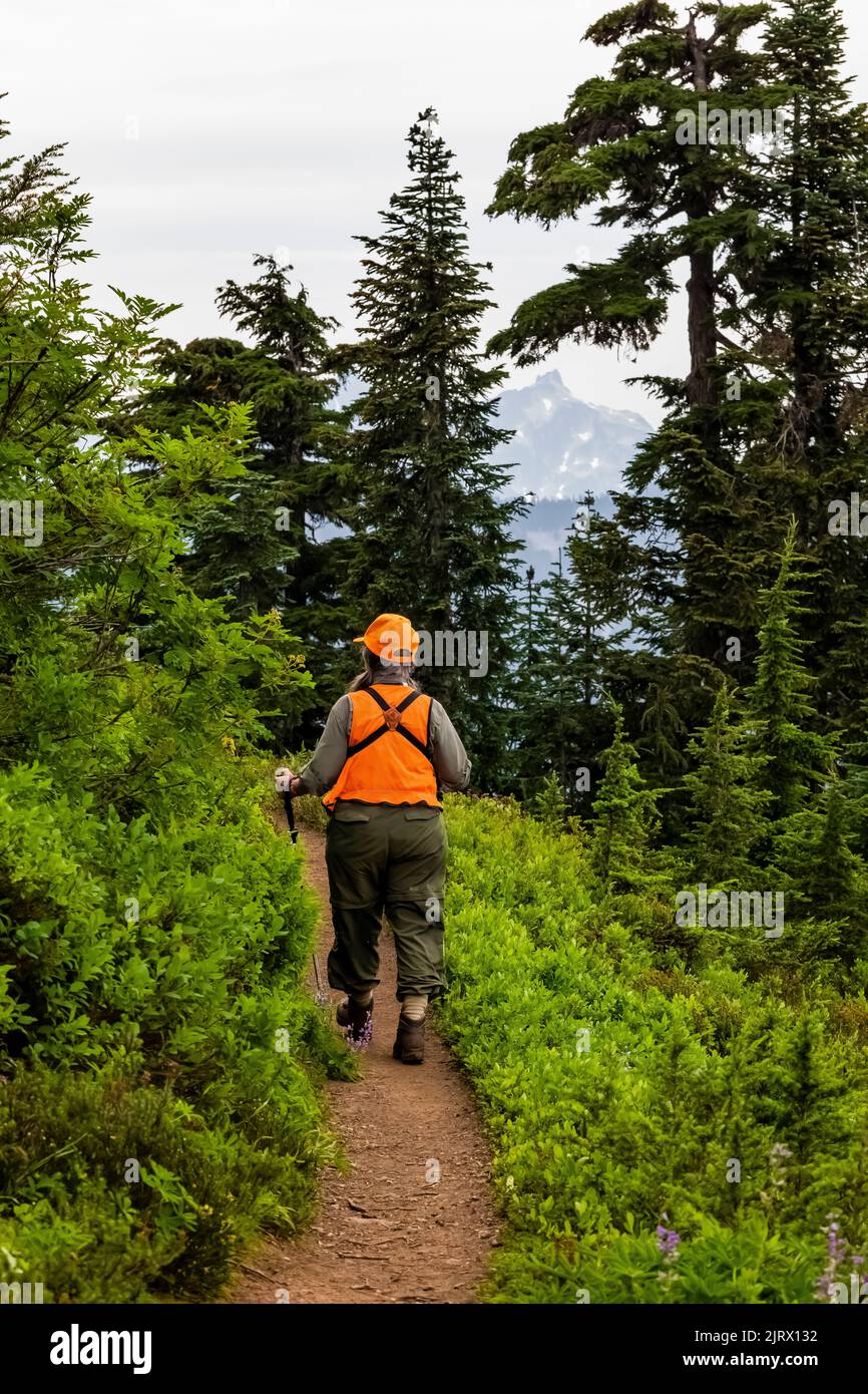 Evergreen Mountain, Cascade Range, Mt. Bosque Nacional Baker-Snoqualmie, Estado de Washington, EE.UU Foto de stock