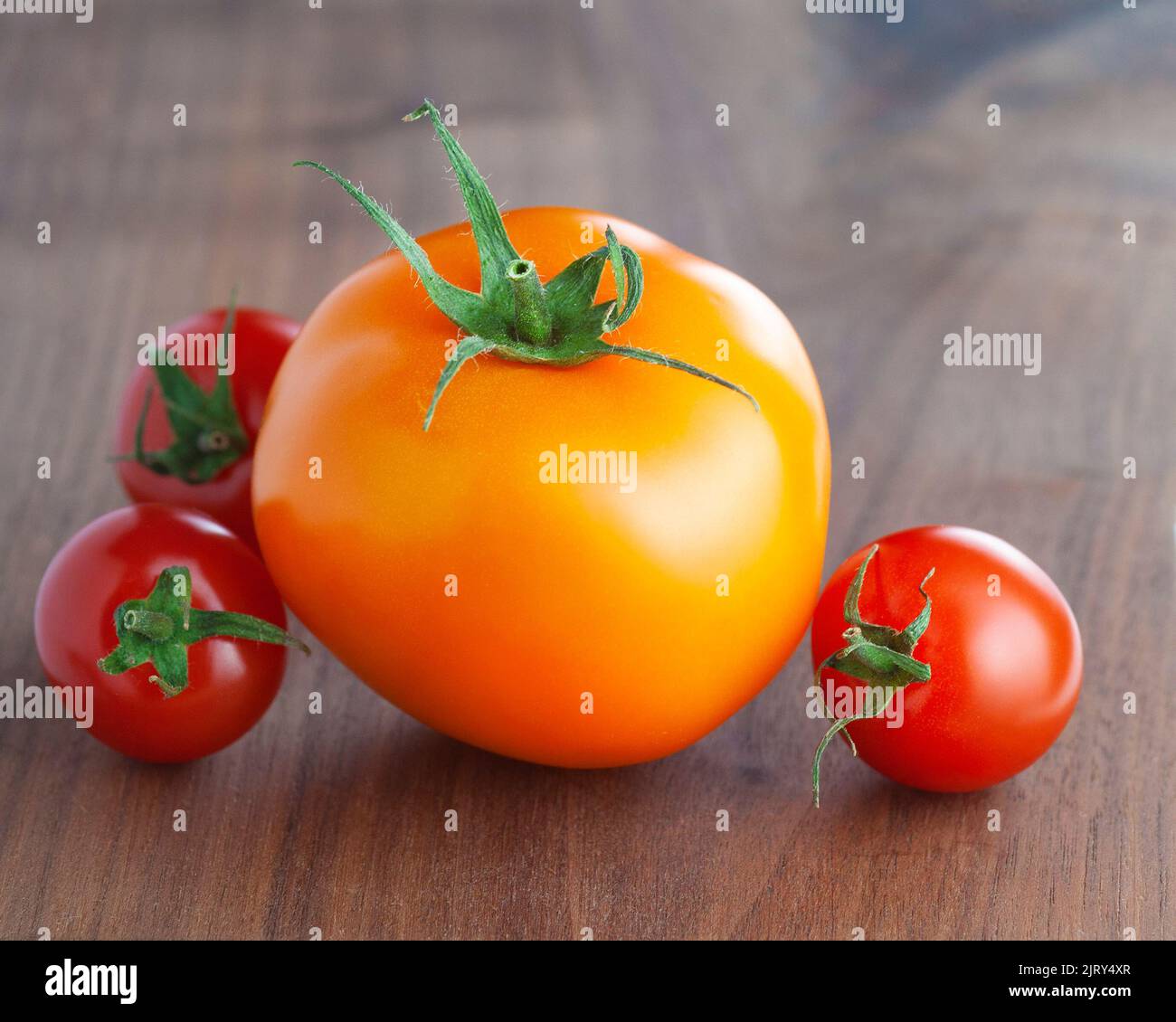 Tomate naranja orgánico fresco y tomates cherry rojos sobre una mesa de madera Foto de stock