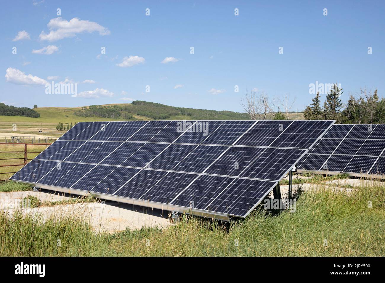 Paneles solares en un día soleado. El sistema solar fotovoltaico proporciona energía renovable para una granja de permacultura en la zona rural de Alberta, Canadá Foto de stock