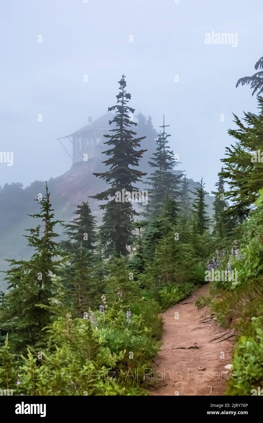 Mirador de Evergreen Mountain, Mt. Baker–Snoqualmie National Forest, Washington State, EE.UU Foto de stock
