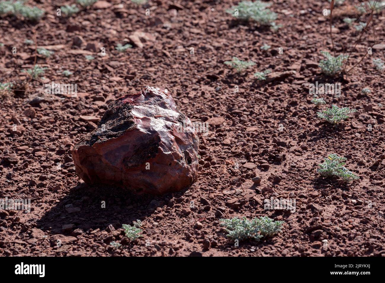 Chert tendido en el suelo en el Parque Nacional Canyonlands, Utah. Foto de stock