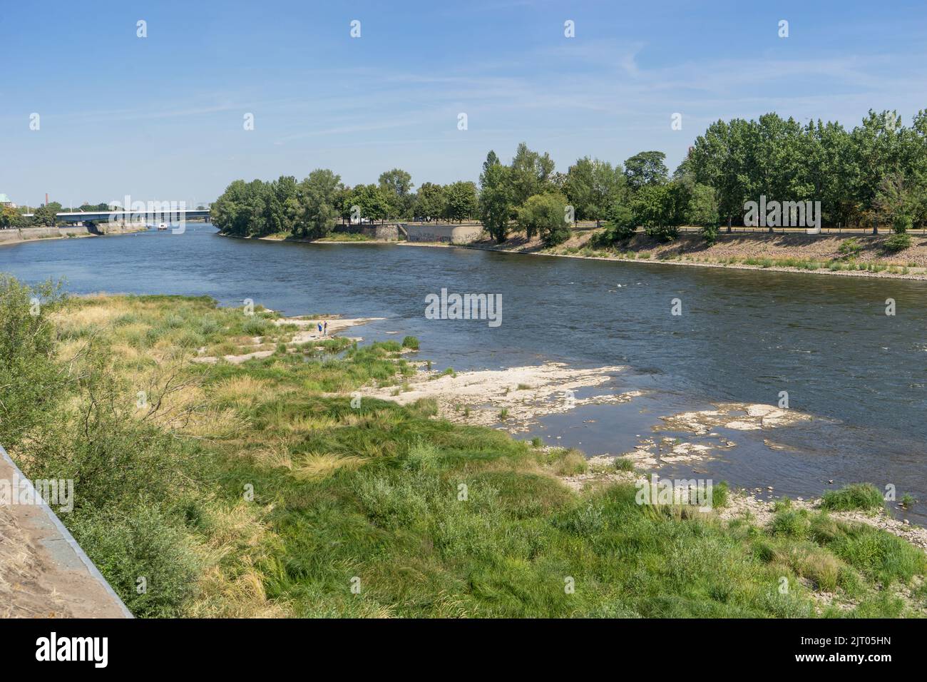 Elba en Magdeburg con poca agua en verano de 2022 Foto de stock
