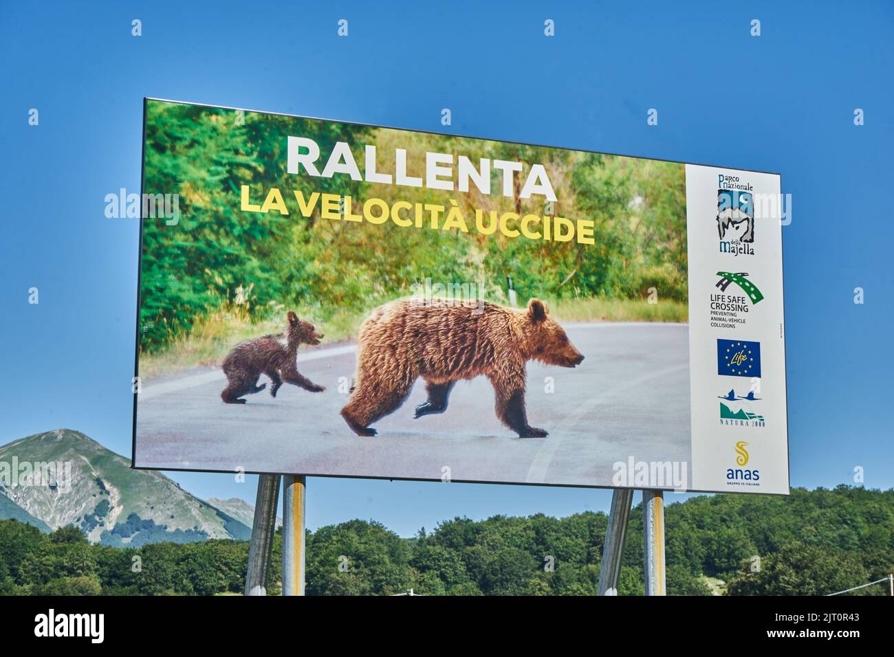 Schild warnt vor Bären, Straße im Nationalpark Majella, Parco nazionale della Majella, Abruzzen, Italien, Europa Foto de stock