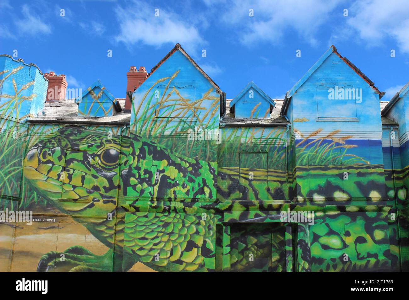 Arte del lagarto de arena por Paul Curtis - Ainsdale, Merseyside Foto de stock