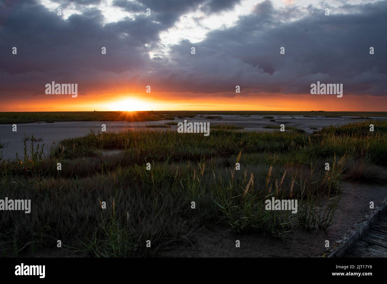 Sonnenuntergang in den Salzwiesen Foto de stock