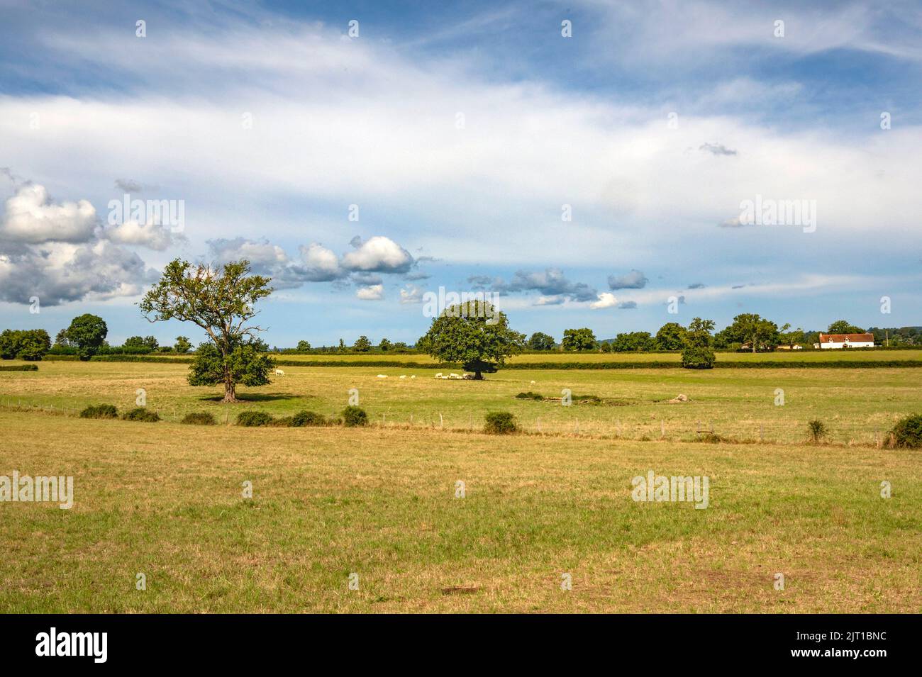 El paisaje rural típico cerca de Bourbon-l'Archambault, Francia Foto de stock