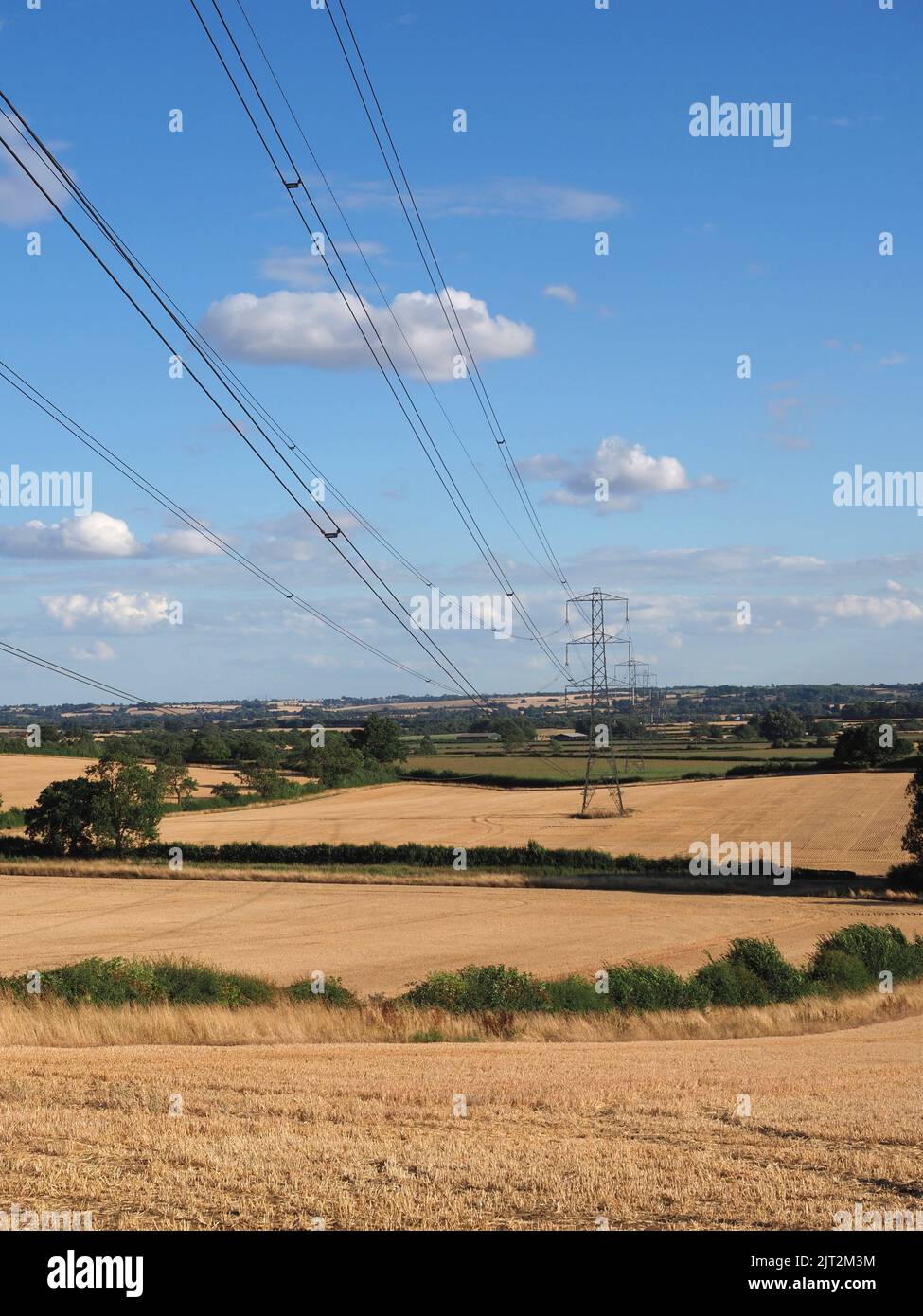 Paisaje con pilones de electricidad, Northamptonshire, Reino Unido Foto de stock