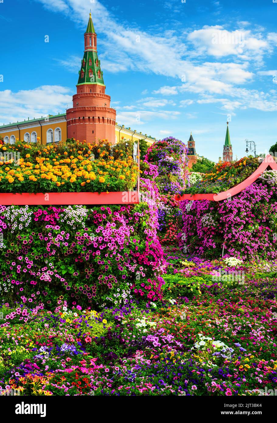 Paisaje de Moscú, Rusia. Paisaje con hermosas flores cerca del Kremlin de Moscú. Bonitas decoraciones florales en el centro de la ciudad de Moscú en verano. C Foto de stock