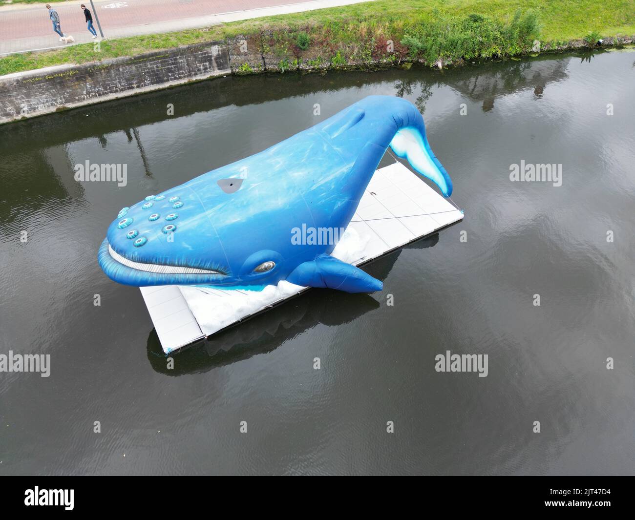 Una fotografía de ángulo alto de una estatua de ballena azul en una parte del río Dender en Dendermonde, Bélgica Foto de stock
