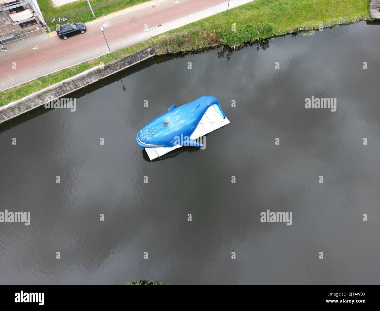 Vista superior de una estatua de ballena azul en el río Dender en Dendermonde, Bélgica Foto de stock