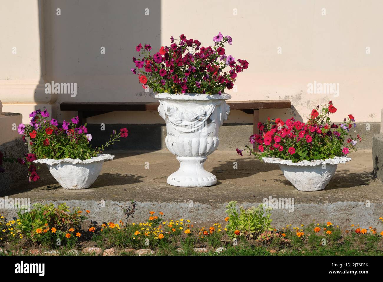 Jarrones exteriores de hormigón con flores, macetas con petunias. Diseño clásico de jardín. Foto de stock