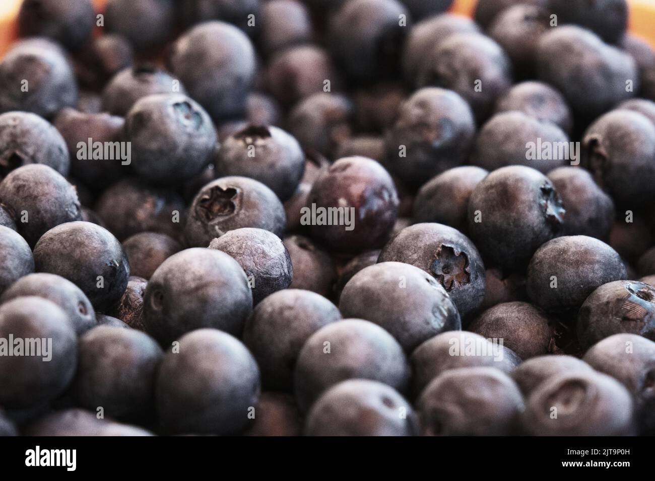 Bayas azules frescas textura y patrón, arándano púrpura maduro en el mercado ecológico puesto, alimentos naturales, dieta de nutrición, fondo. Foto de stock